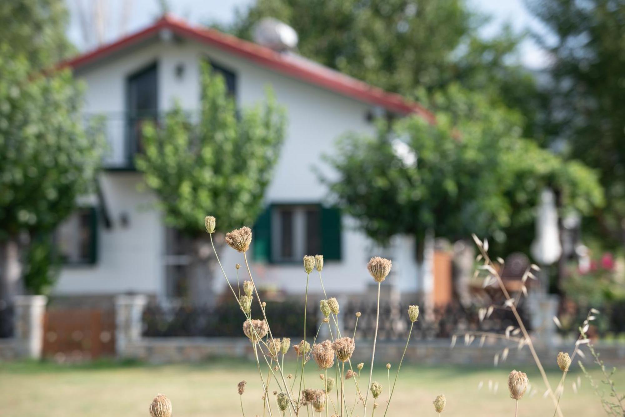 锡基亚Pratsas House别墅 外观 照片